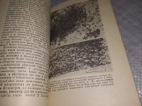 Лот: 19100862. Фото: 9. Соболев Е. В. Тверже алмаза, Где...