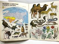 Лот: 25209996. Фото: 13. 📒 Мир и человек. СССР 1988 г...