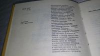 Лот: 11422166. Фото: 3. Дева Маруся. Исторические фантазии... Красноярск