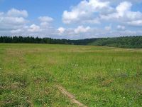 Лот: 3788684. Фото: 2. Земельный участок Красноярский... Продажа