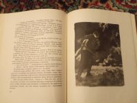 Лот: 18290806. Фото: 4. Аркадий Гайдар Школа