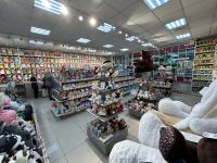 Лот: 20287568. Фото: 12. Мягкие игрушки: Кот Басик, Зайка...