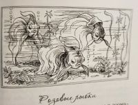 Лот: 17978065. Фото: 8. Осипова Наталья - Сказки для детей...