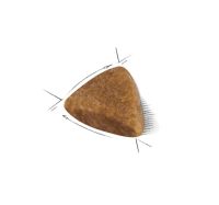 Лот: 17904475. Фото: 2. Royal Canin Sphynx Kitten (Роял... Животные и уход