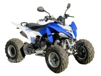Лот: 25659229. Фото: 4. Квадроцикл YAMAHA YFM250R - replica. Красноярск