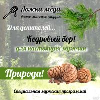 Лот: 3727747. Фото: 2. Программа силового массажа для... Красота, здоровье, медицина