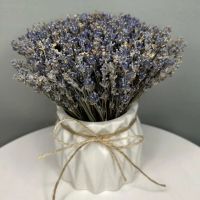 Лот: 20055495. Фото: 9. Композиции и букеты из лаванды...