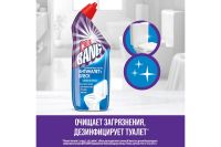 Лот: 23945403. Фото: 2. Средство дезинфицирующее для туалета... Хозтовары