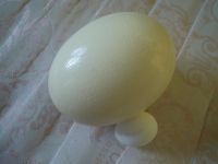 Лот: 8961203. Фото: 2. Яйцо страуса, прекрасный материал... Ручная работа