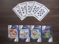 Лот: 25943078. Фото: 4. Карты игральные сувенирные "Звездные...