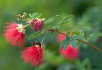 Лот: 4103141. Фото: 4. Carl Zeiss Planar 50 мм f/1.7...