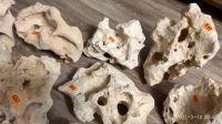 Лот: 17323837. Фото: 6. Камень Кения (кенийский) натуральный...