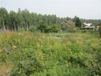 Лот: 2862651. Фото: 2. участок Овинный Срочно. Продажа