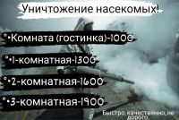 Лот: 19859054. Фото: 4. Дезифекция.травля,уничтожение... Красноярск