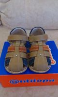 Лот: 4257664. Фото: 3. Сандали Антилопа р.25 кожа/кожа. Дети растут