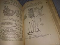 Лот: 18484863. Фото: 9. Генкель П.А., Кудряшов Л.В. Ботаника...