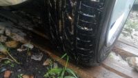 Лот: 7839093. Фото: 5. dunlop enasave ec202 2шт + dunlop...