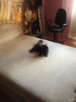Лот: 9763055. Фото: 4. Кровать двухспальная. Красноярск