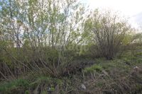 Лот: 25319967. Фото: 16. 2-комн. дача , садоводческое некоммерческое...