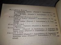 Лот: 18334093. Фото: 4. Ближневосточная новелла. Арабские...