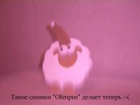 Лот: 4958537. Фото: 5. Фотоаппарат Olympus FE-300 (б...