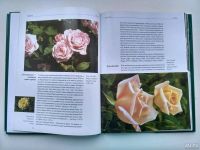 Лот: 9893907. Фото: 2. Книга о выращивании и уходе роз. Комнатные растения и уход
