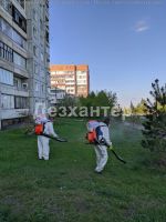 Лот: 5432891. Фото: 6. ОБРаБОТКА ОТ КЛЕЩЕй УНИЧТоЖЕНИЕ...
