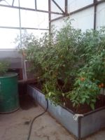 Лот: 9422827. Фото: 2. Продам дом Тартат 6900 т.р.. 215кв... Продажа