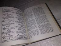 Лот: 10301907. Фото: 17. ок (01..01)(00-045) Книга рыболова-любителя...