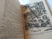 Лот: 18604460. Фото: 8. Лавринайтис В. Падь золотая. Серия...