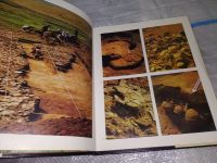 Лот: 16941781. Фото: 3. Маркевич В.И. Далекое - близкое... Литература, книги