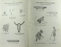 Лот: 20842702. Фото: 3. Доктор Т.Д.Фаддеев .Школьная педагогика... Коллекционирование, моделизм