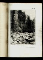 Лот: 9079763. Фото: 3. Благовещенский Н.В. Почвенный... Коллекционирование, моделизм