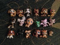 Лот: 4237252. Фото: 2. Little Pet Shop(LPS) 18 зверюшек. Игрушки
