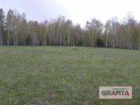 Лот: 4741600. Фото: 2. земельный участок в деревне плоское... Продажа