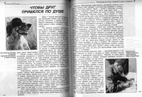 Лот: 7143041. Фото: 3. Книга "Неповторимый вкус сибирской... Коллекционирование, моделизм