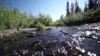 Лот: 7812905. Фото: 15. Участки Элита! Поселок Западный