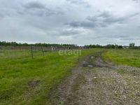 Лот: 25290393. Фото: 6. участок , посёлок Первоманск посёлок...