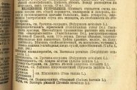 Лот: 17303997. Фото: 15. Полный русский , иллюстрированный...