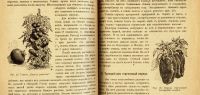 Лот: 21448146. Фото: 4. Краткие указания по разведению... Красноярск