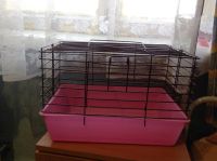 Лот: 3626708. Фото: 3. Клетка для кролика. Растения и животные