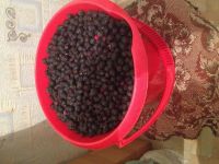 Лот: 5937741. Фото: 2. ИРГА, свежая вкусная крупная ягода... Продукты