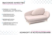 Лот: 25074075. Фото: 4. Кушетка PUSHE Валетта СП. Красноярск