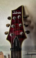 Лот: 11913927. Фото: 5. Schecter Hellraiser Special C-1...