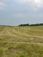 Лот: 25406842. Фото: 6. участок , садоводческое некоммерческое...