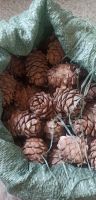 Лот: 21441243. Фото: 2. Кедровые шишки. Продукты