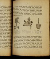 Лот: 21325712. Фото: 5. Ельманова Е. Цветы в комнатах...