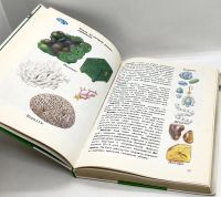 Лот: 25412283. Фото: 9. 📗 А. Плешаков. От земли до неба...