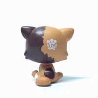 Лот: 10460118. Фото: 2. Littlest Pet Shop № 339 Felina... Игрушки