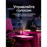 Лот: 24398352. Фото: 7. Умная лампочка Sber E14